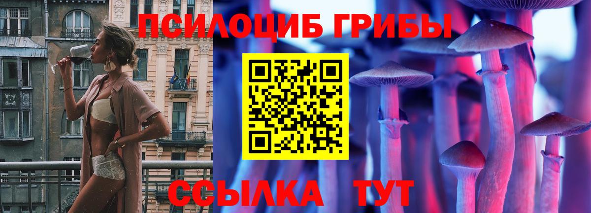 Карпинск  наркотики  Вход с VPN  Псилоцибиновые грибы ЛСД 